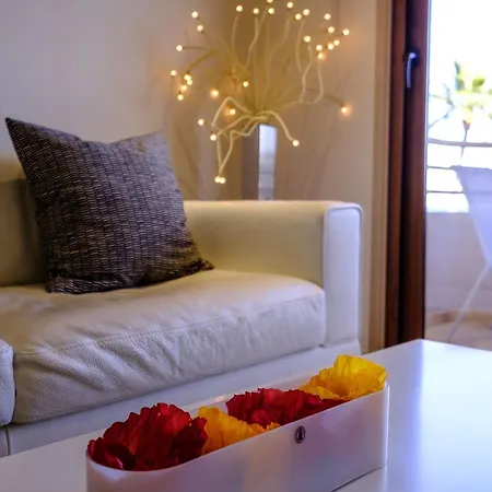 Les Palmiers Luxury